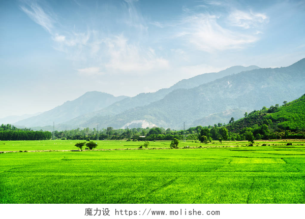 蓝天白云下的草坪和高山明亮的绿色稻田。令人惊叹的夏日风景